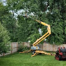 Best Commercial Tree Services  in Indian Mountain Lake, PA