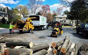 Best Seasonal Cleanup (Spring/Fall)  in Indian Mountain Lake, PA