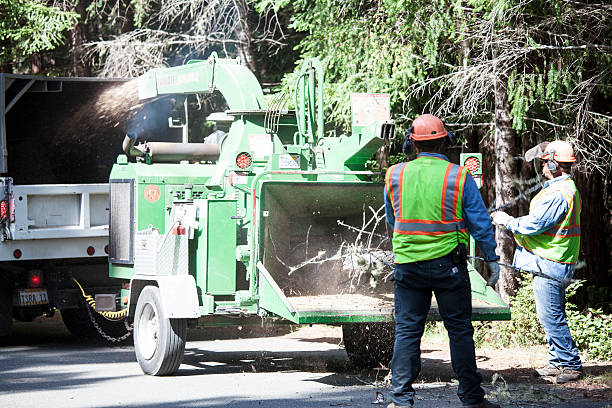 Best Aeration Services  in Indian Mountain Lake, PA